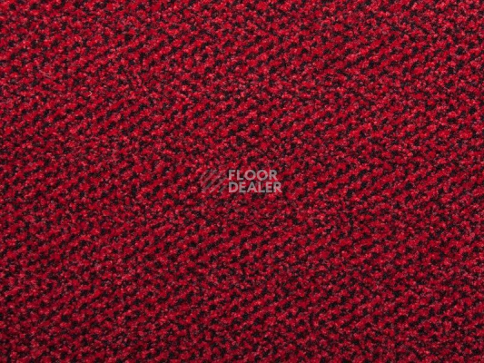 Грязезащитные покрытия Vebe Alba Pc Alba pvc 40 фото 1 | FLOORDEALER